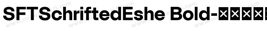 SFTSchriftedEshe Bold字体转换